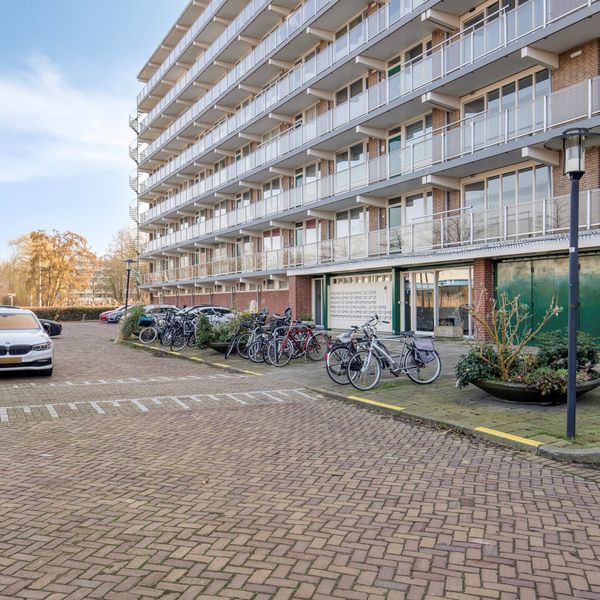 Alkenoord 313, Capelle aan den IJssel