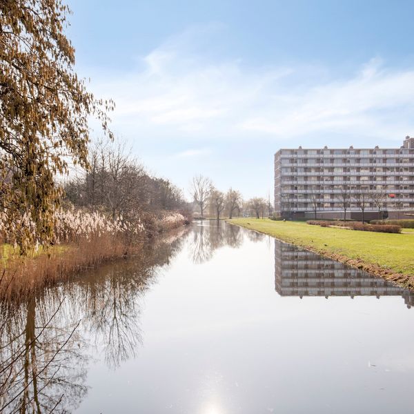 Alkenoord 313, Capelle aan den IJssel