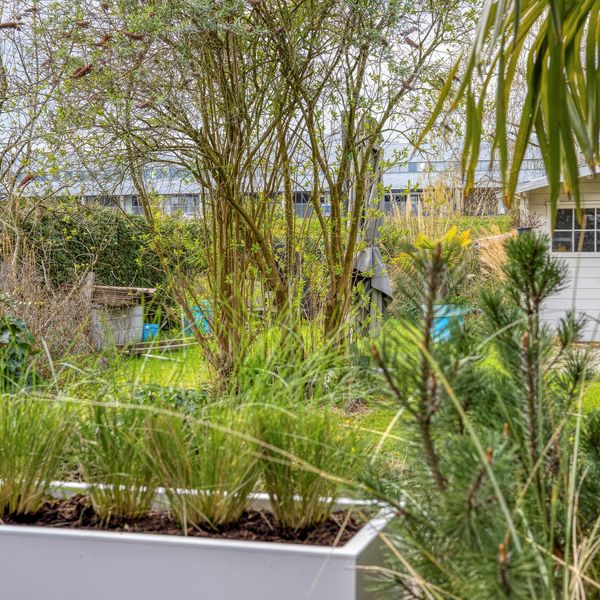 IJsselmondselaan 195B, Rotterdam