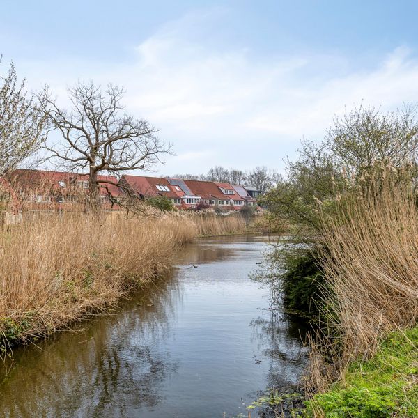 Libellendans 25, Capelle aan den IJssel