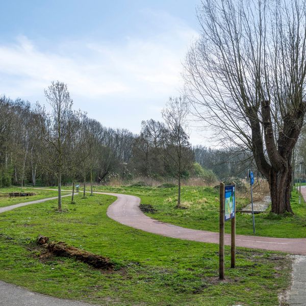 Libellendans 25, Capelle aan den IJssel