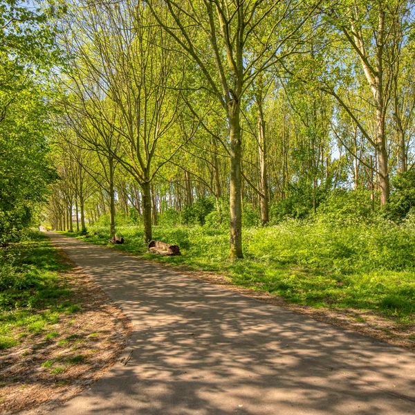IJsselmondselaan 261, Rotterdam