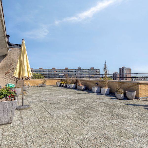Leh&aacute;rstraat 248, Capelle aan den IJssel