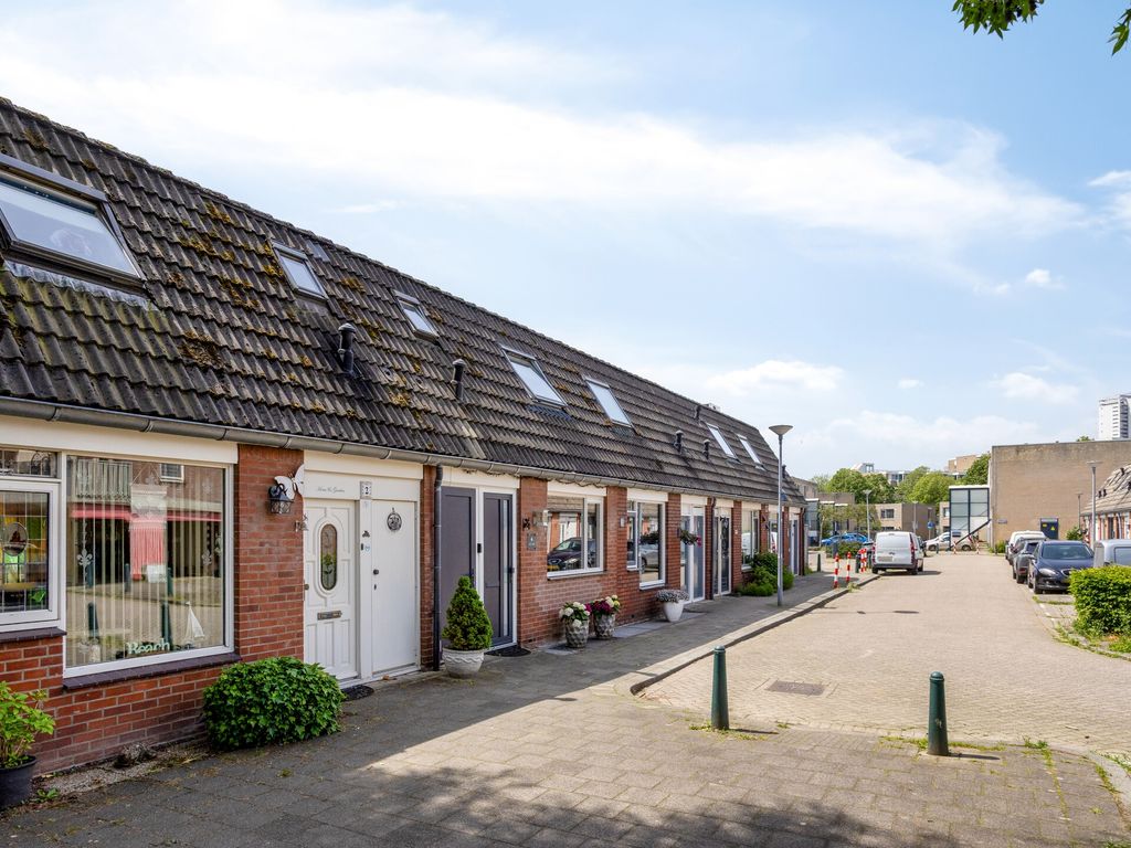 Cadizerf 6, Rotterdam