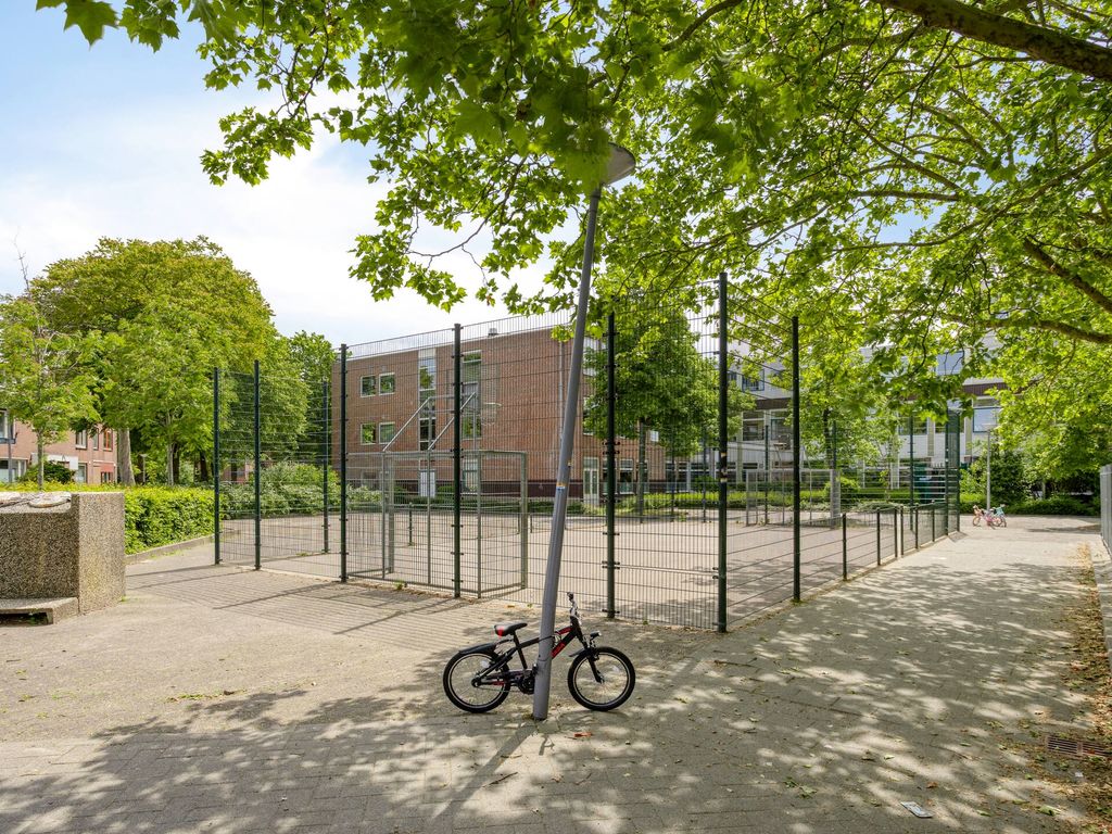 Cadizerf 6, Rotterdam