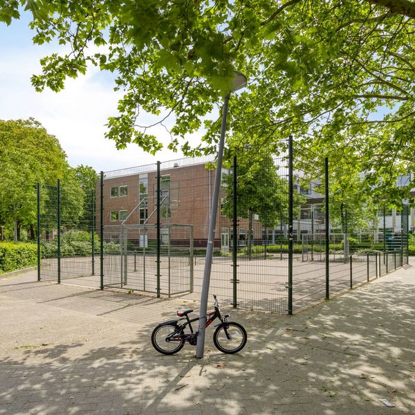 Cadizerf 6, Rotterdam