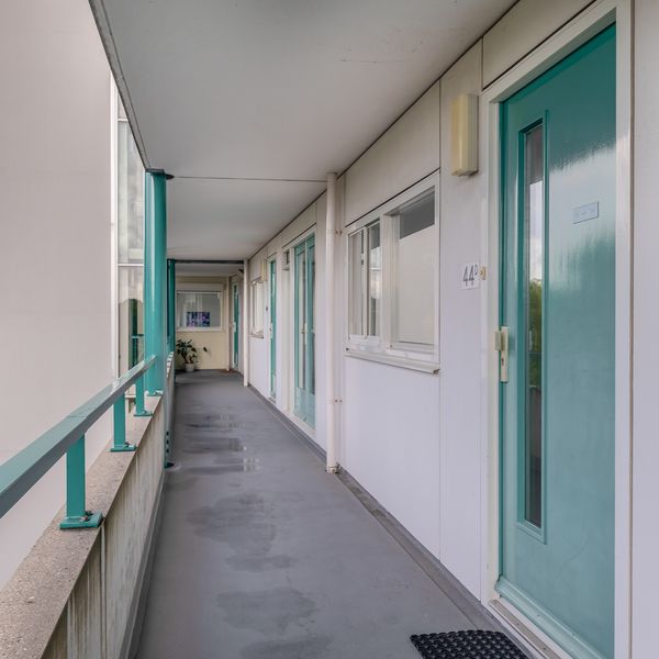 Peppelweg 44D, Rotterdam