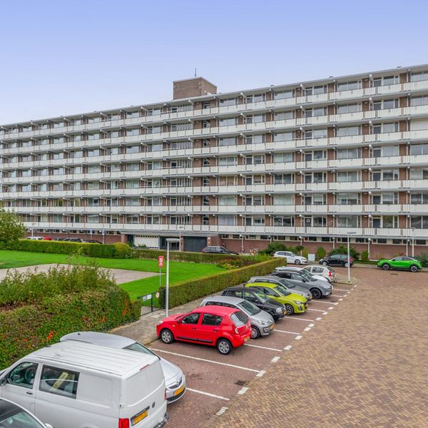 Alkenoord 61, Capelle aan den IJssel