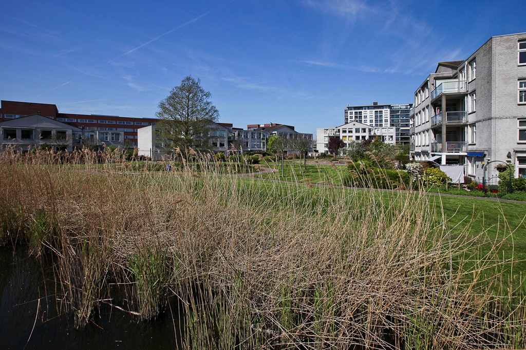 Slotplein 126, Capelle aan den IJssel