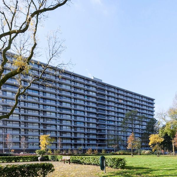 Herman Gorterplaats 257, Capelle aan den IJssel