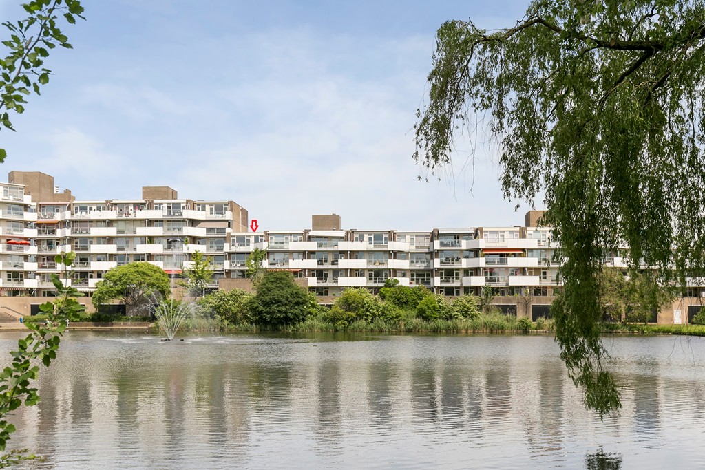 Henry Moorepassage 252, Capelle aan den IJssel