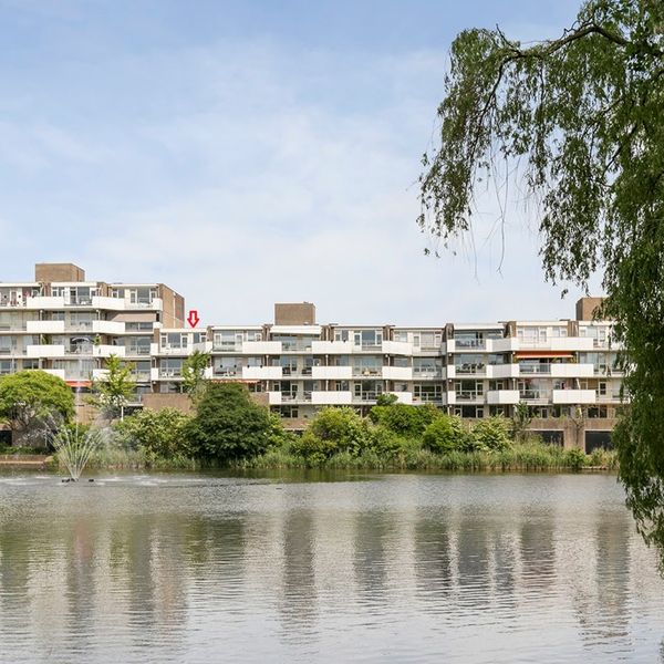 Henry Moorepassage 252, Capelle aan den IJssel