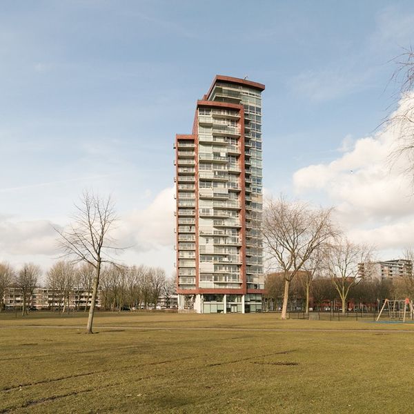 Ien Daleshof 61, Rotterdam