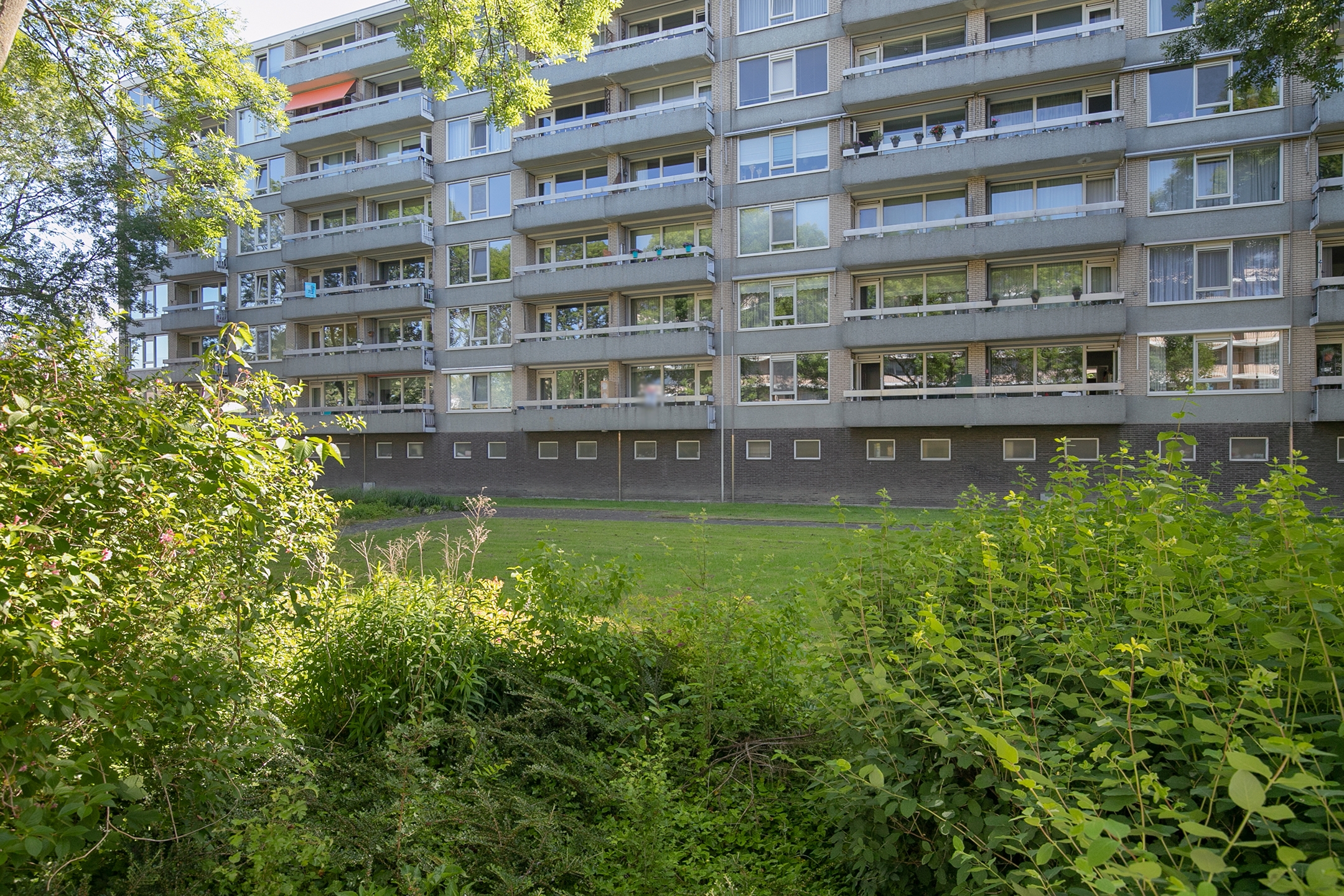 Everaertstraat 213, Rotterdam