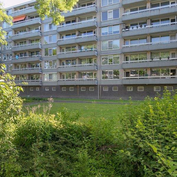Everaertstraat 213, Rotterdam