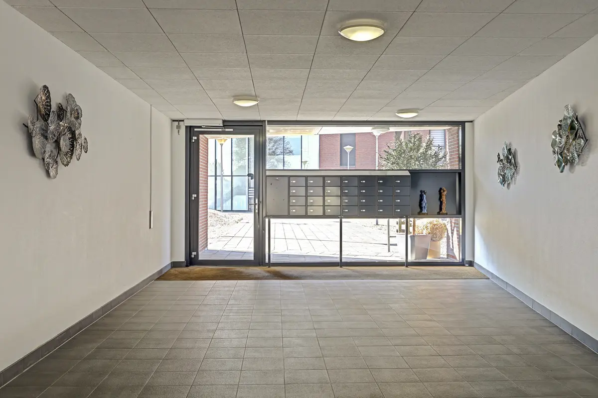 Wijnruitstraat 315