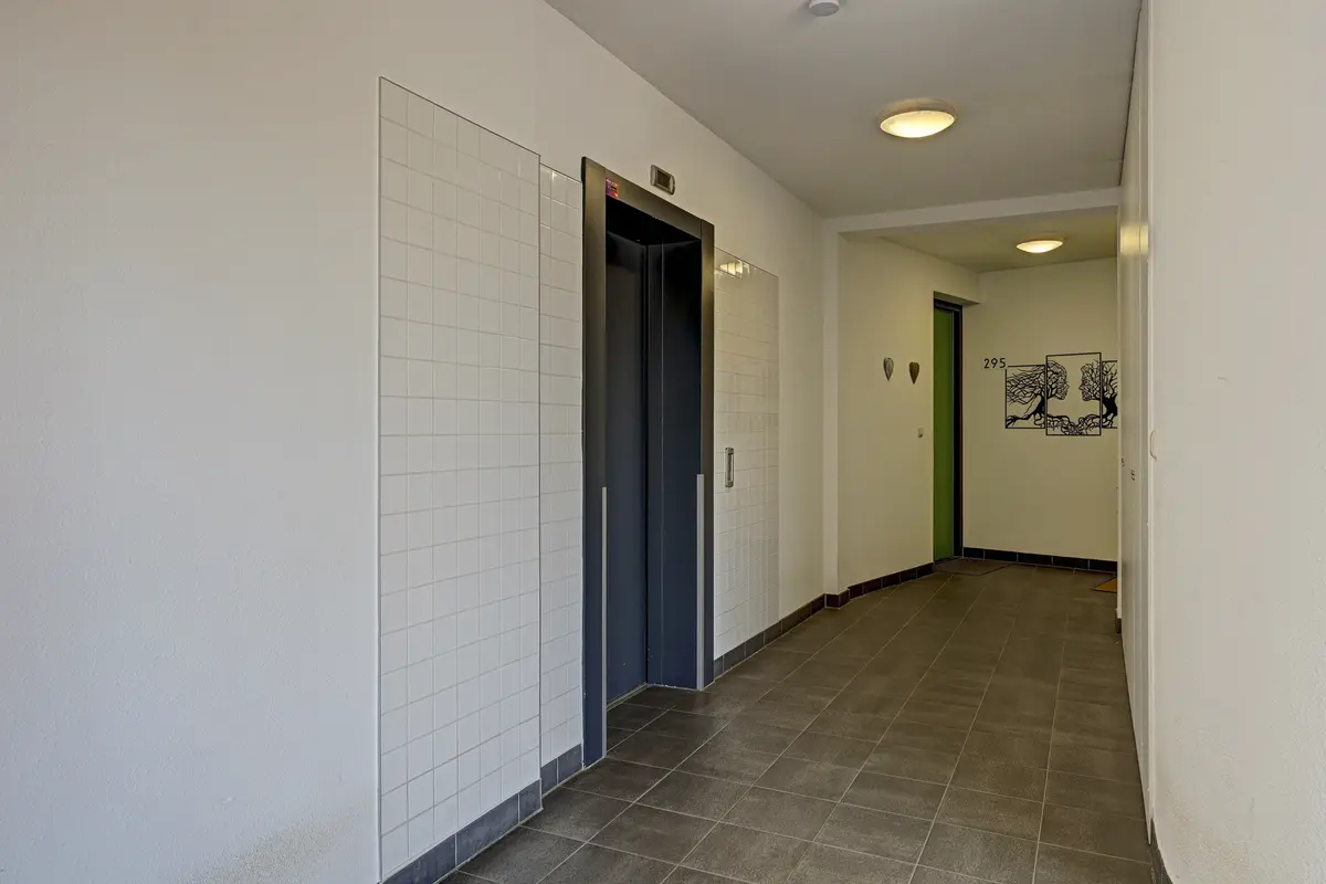 Wijnruitstraat 315