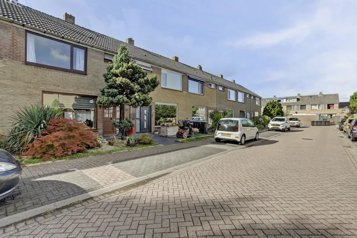 Moerbeistraat 5