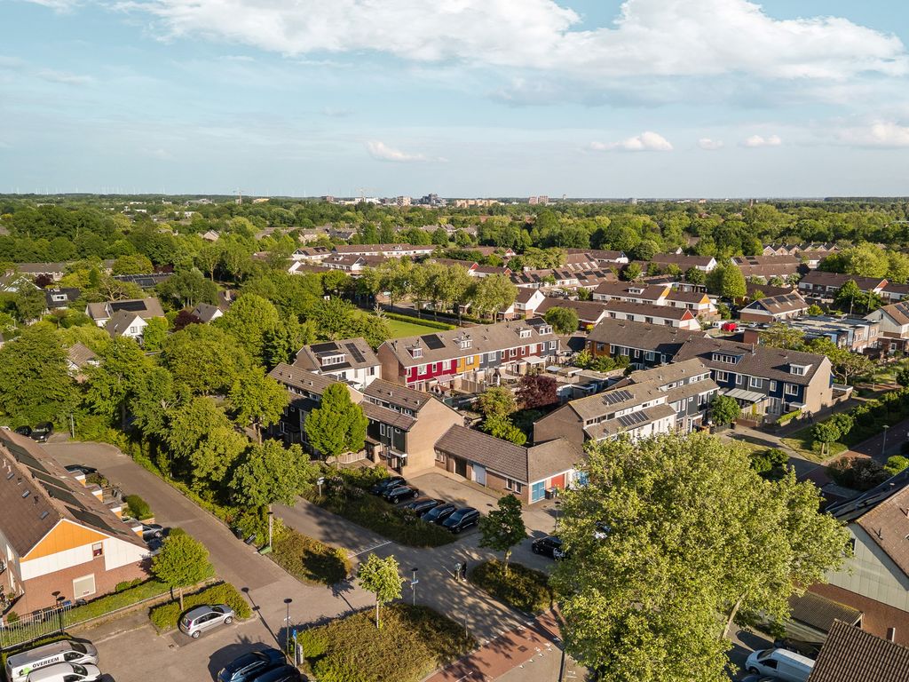 Punter 14 9, Lelystad