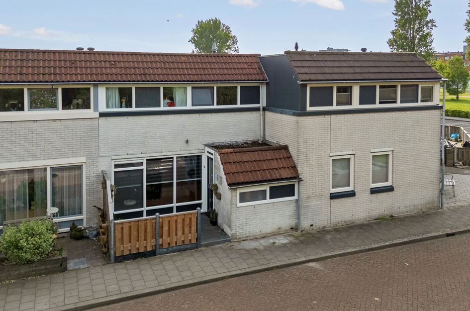 Galjoen 29 19
