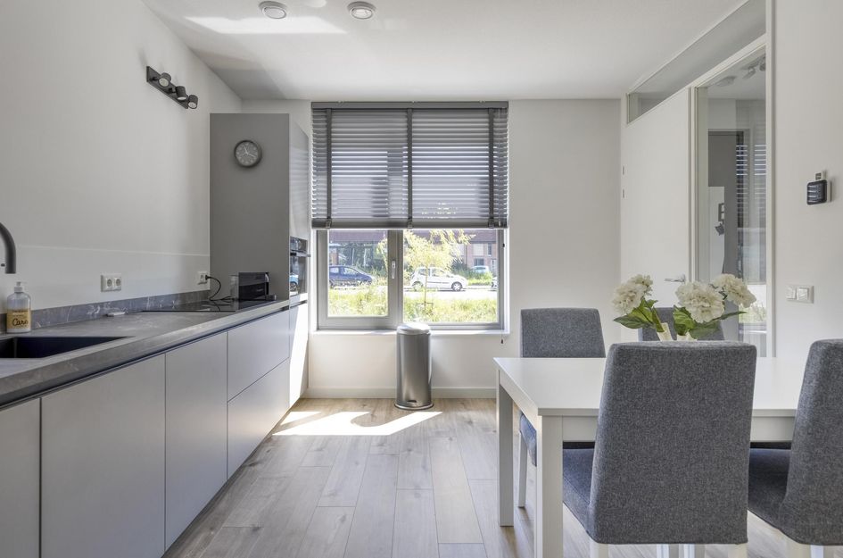 Anton Geesinkstraat 92