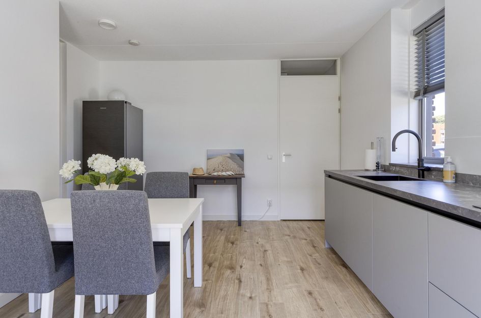 Anton Geesinkstraat 92