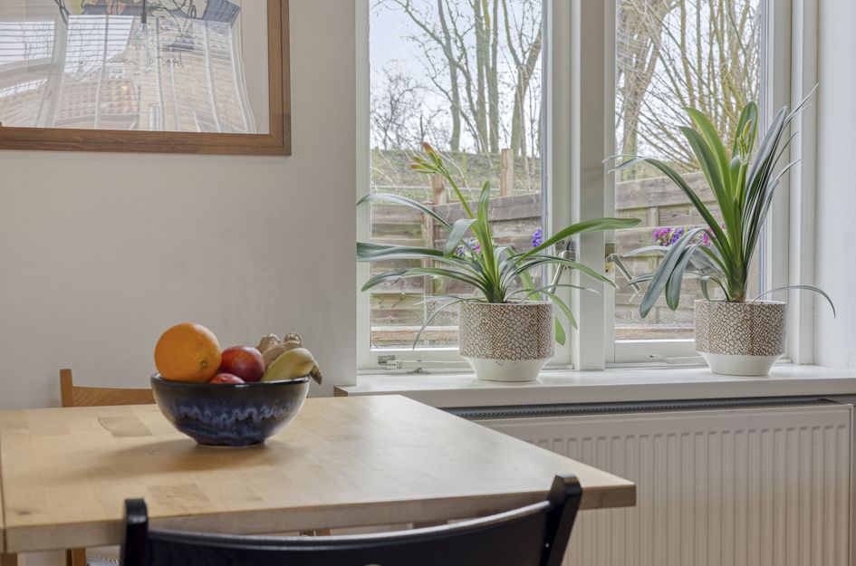 Witte de Withstraat 32