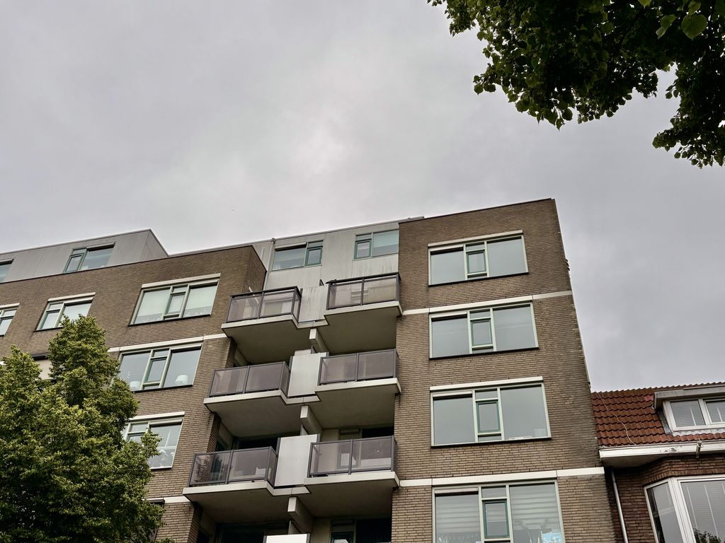 Schiedamseweg 252, Vlaardingen