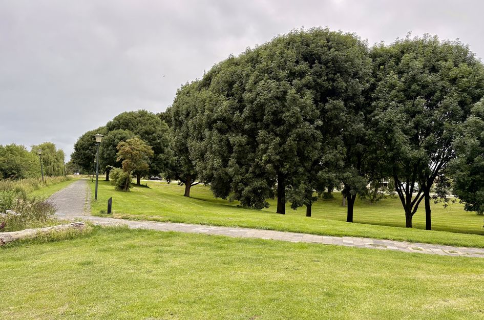 Schiedamseweg 252