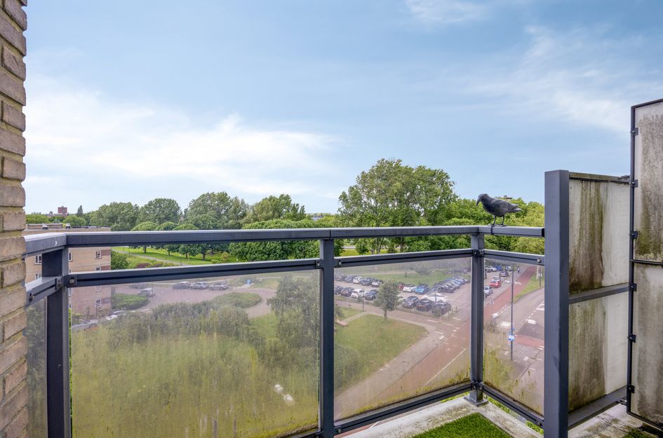 Schiedamseweg 252