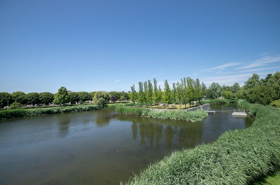 Turfweide 4