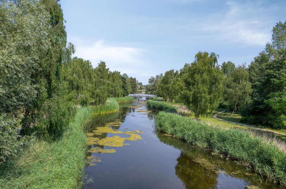 Turfweide 4