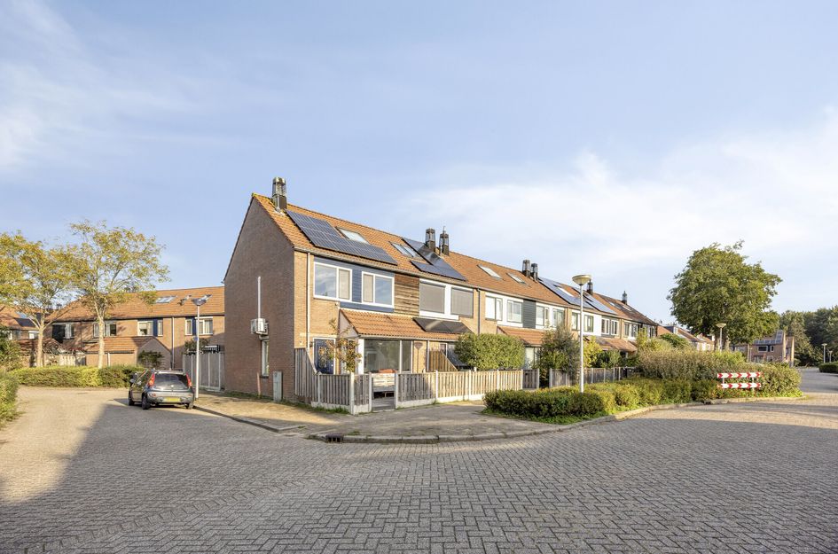 Mantelschelp 9