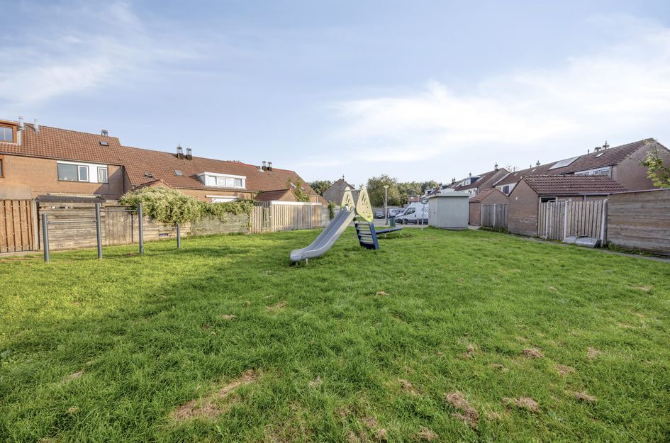 Mantelschelp 9