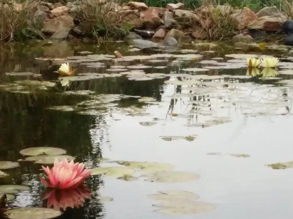Oudelandsedijk 55a, ABBENBROEK