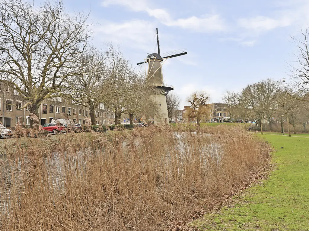 Burgemeester Stulemeijerlaan 38, SCHIEDAM
