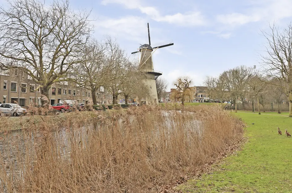 Burgemeester Stulemeijerlaan 38