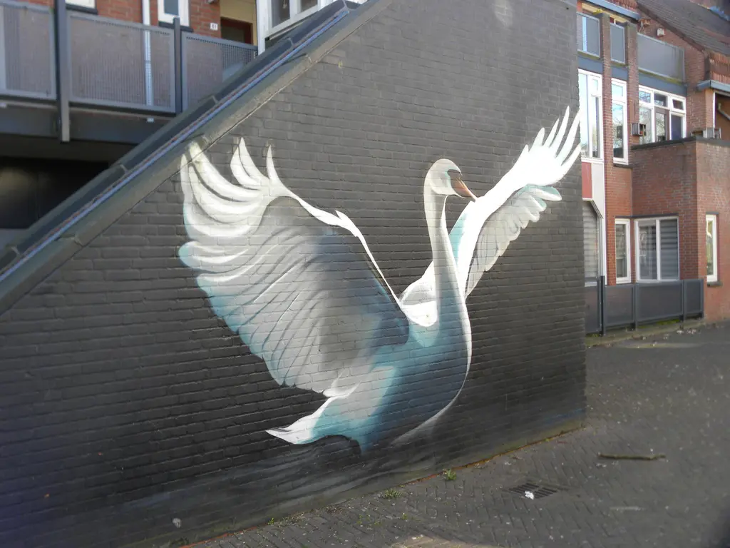 Zwanenhoek 88, SPIJKENISSE