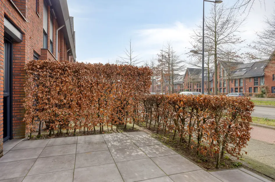 Laan van Avant-Garde 452