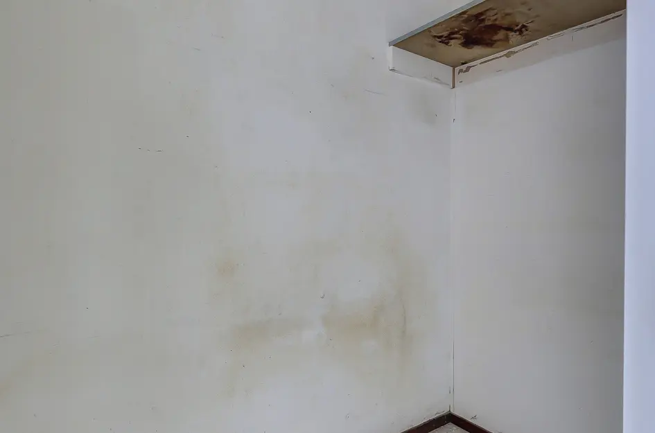 's-Gravelandseweg 633