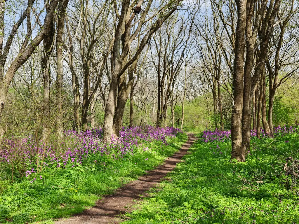 Gorsplein 2, Uno 16 , OOSTVOORNE