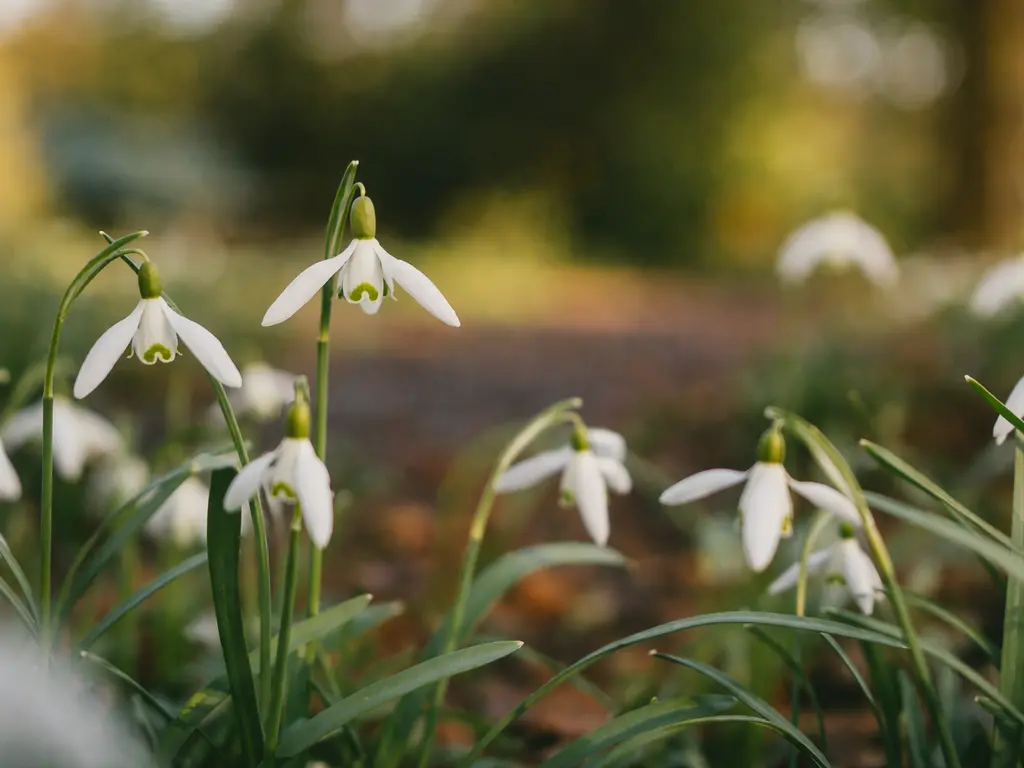 Gorsplein 2, Uno 16 , OOSTVOORNE