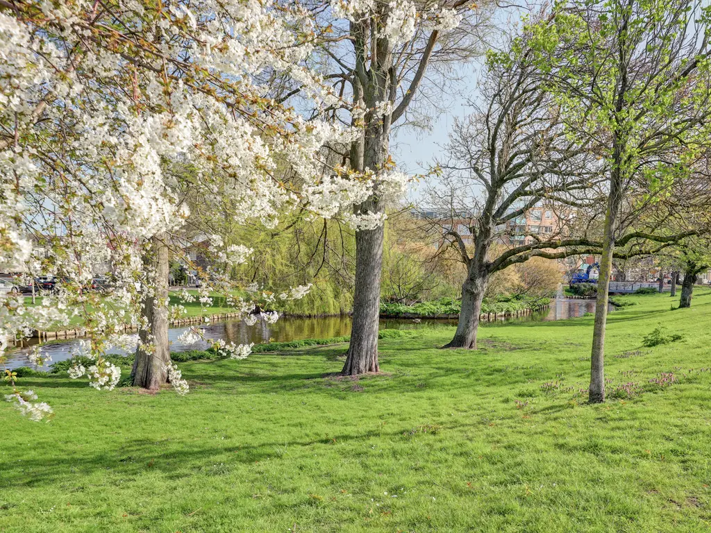 Oostsingel 58, SCHIEDAM