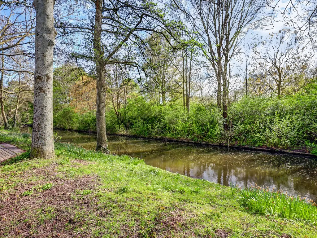 Meerkoet 19, ROZENBURG