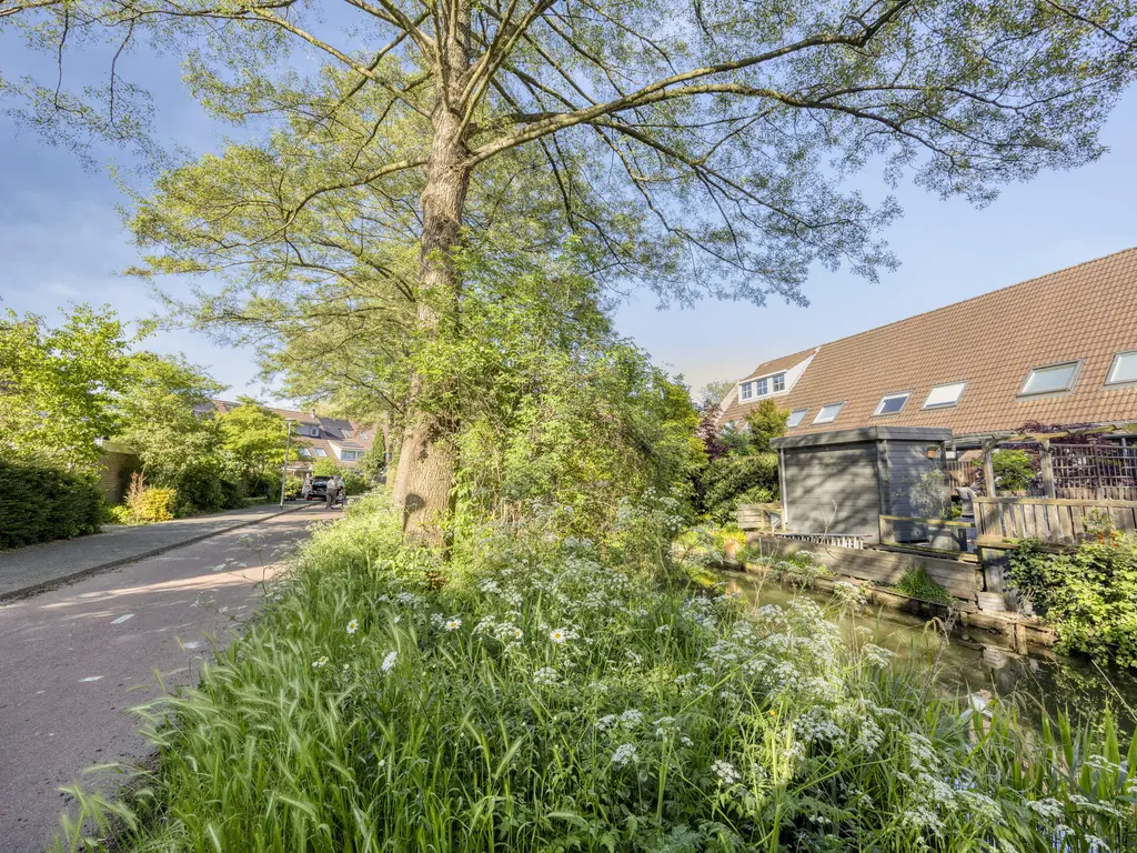 Henry Moorepassage 71, CAPELLE AAN DEN IJSSEL