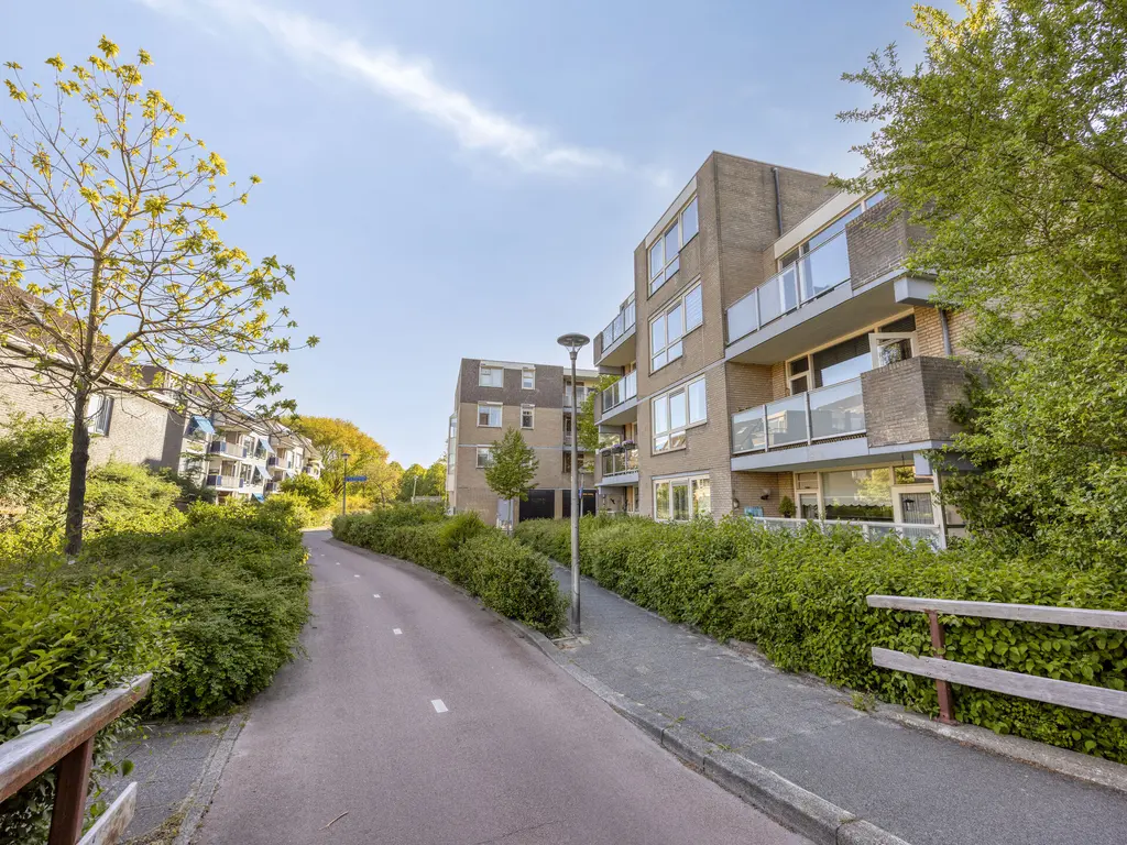 Henry Moorepassage 71, CAPELLE AAN DEN IJSSEL