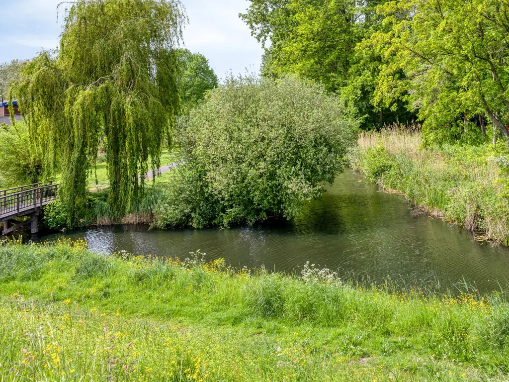 Stagfok 8, CAPELLE AAN DEN IJSSEL