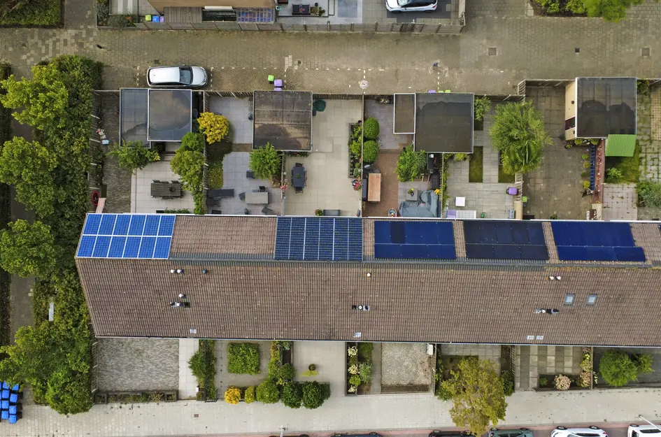 Kikkerveen 209