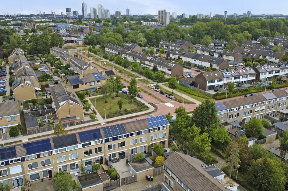 Kikkerveen 209