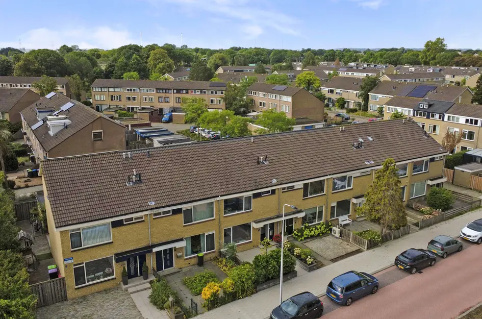 Kikkerveen 209